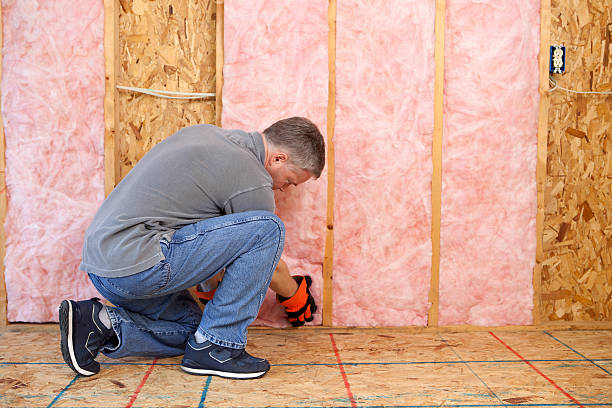 Best Soundproof Insulation  in Ethete, WY